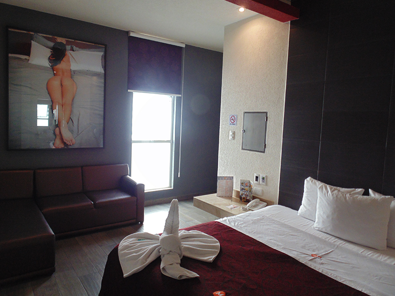 Motel Garage en Puebla M14