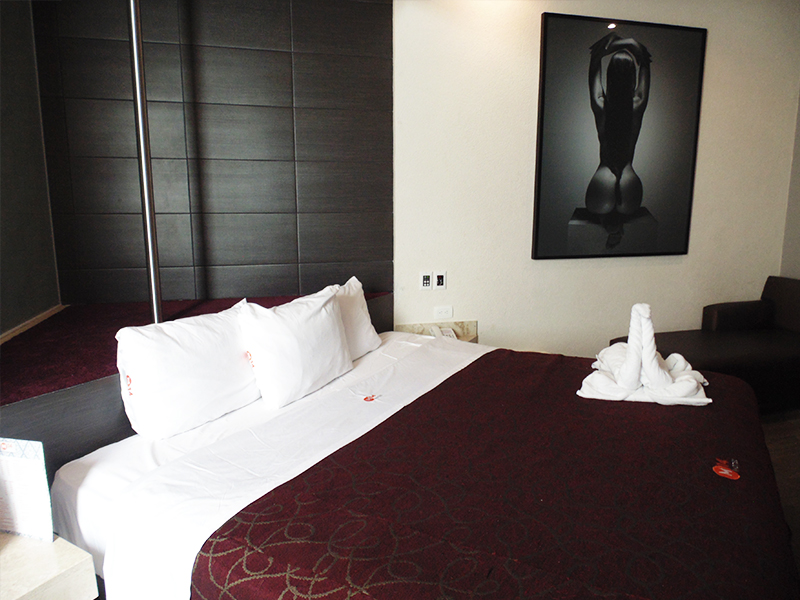 Motel Garage en Puebla M14