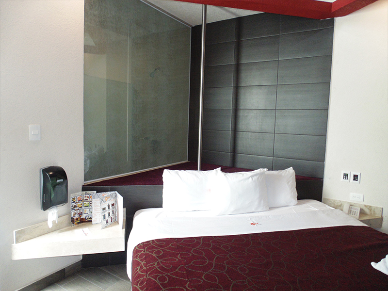 Motel Garage en Puebla M14